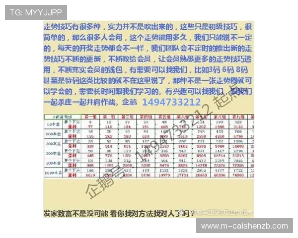 北京贫PK10计划最新动态全面解析与实用投注技巧分享