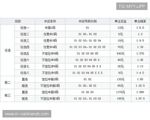 掌握十一选五投注技巧与开奖规律全面解析指南